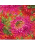 Fat quarter Kaffe Fassett Shaggy Red