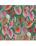 Kaffe Fassett par Philip Jacobs PWPJ108 Caladiums