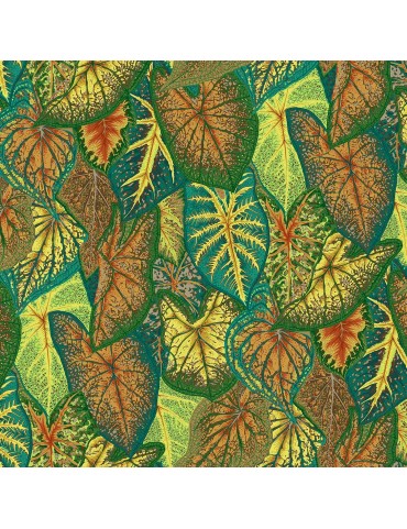 Kaffe Fassett par Philip Jacobs PWPJ108 Caladiums